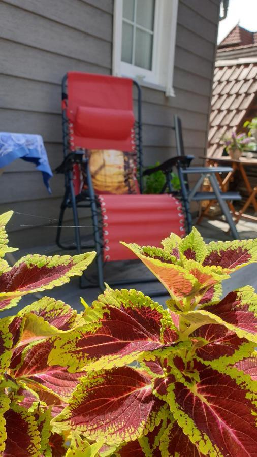 Tinyhaus Wolkenlos Familie Hamdorf Apartment *