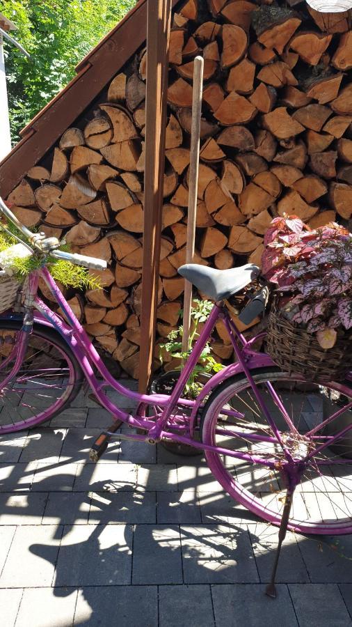 Tinyhaus Wolkenlos Familie Hamdorf Apartment Bad Sulza