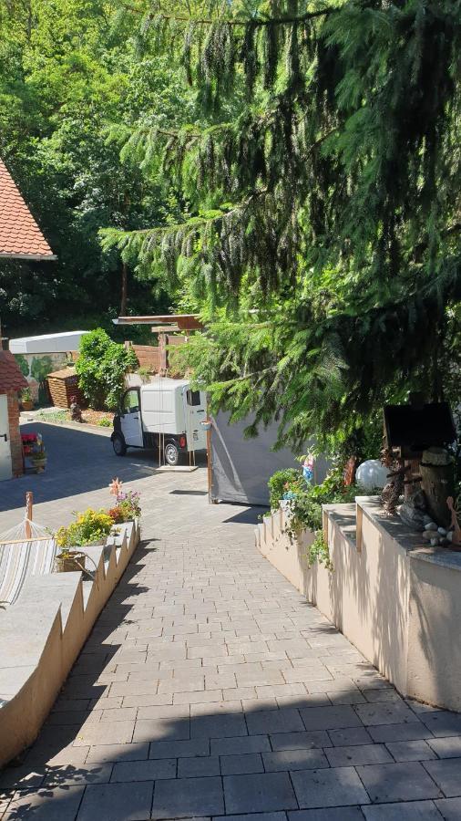 Tinyhaus Wolkenlos Familie Hamdorf